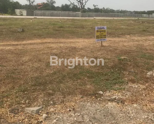 image OSOWILANGUN (1)