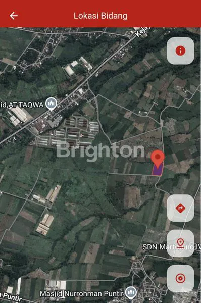 image TANAH MURAH LOKASI STRATEGIS DI DS MARTOPURO PURWOSARI - PASURUAN (1)