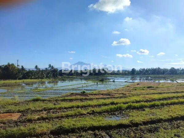 image  TANAH PINGGIR JALAN DAERAH VILLA,DEKAT DENGAN PANTAI PIGSTONE  (3)