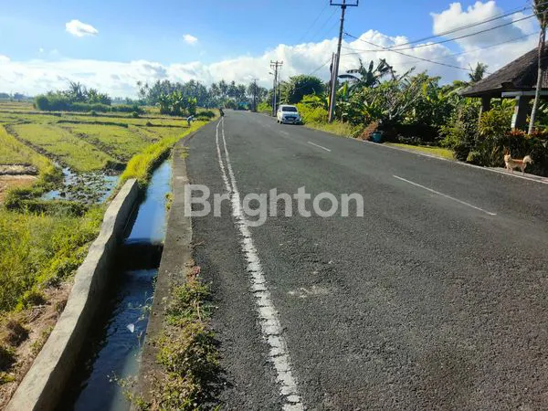 image  TANAH PINGGIR JALAN DAERAH VILLA,DEKAT DENGAN PANTAI PIGSTONE  (7)