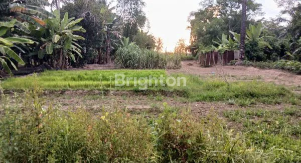 image TANAH LUAS DIJUAL (1)