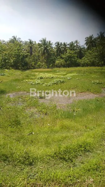 image LAHAN KOSONG MENGANDUNG MINYAK BUMI (6)