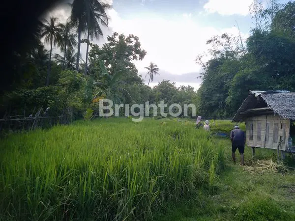 image LAHAN KOSONG MENGANDUNG MINYAK BUMI (7)