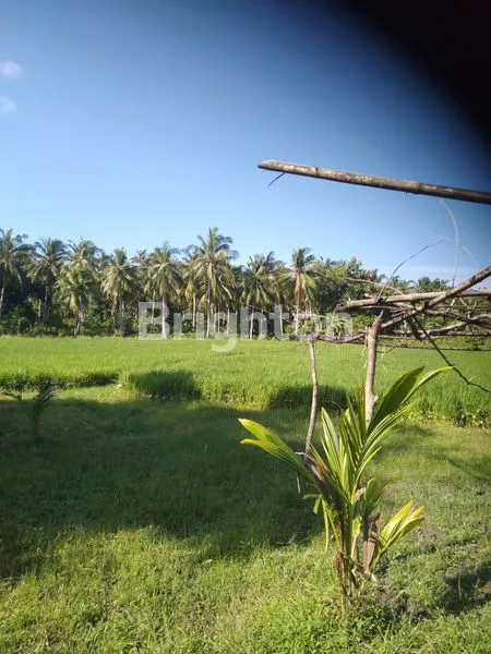 image LAHAN KOSONG MENGANDUNG MINYAK BUMI (1)