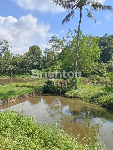 image VILLA AKTIF DI SUBANG 20 MENIT KE CIATER (6)