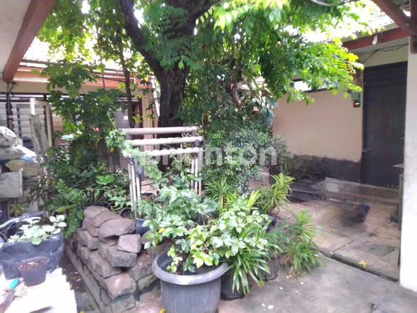 image DIJUAL RUMAH LOKASI STRATEGIS DI PEJOMPONGAN BENDUNGAN HILIR JAKARTA PUSAT (2)