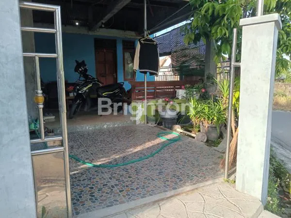 image RUMAH BELAKANG DALEM KOPI (7)
