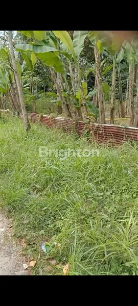 image LAHAN TANAH 991 M2 STRATEGIS PINGGIR JALAN UTAMA BATU PUTU BANDAR LAMPUNG  (8)