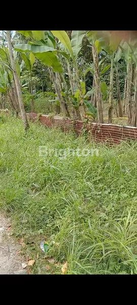 image LAHAN TANAH 991 M2 STRATEGIS PINGGIR JALAN UTAMA BATU PUTU BANDAR LAMPUNG  (7)