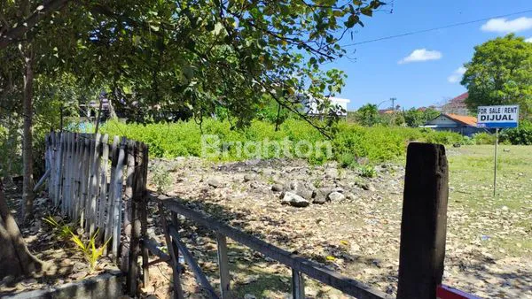 image TANAH PRIME MAIN ROAD BY PASS NGURAH RAI COCOK UNTUK SEGALA USAHA (5)