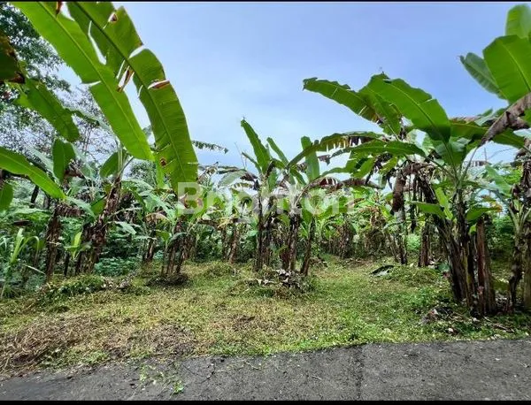 image  TANAH MASUK DARI JALAN RAYA -+5 METER, DEKAT DENGAN FASILITAS UMUM  (3)