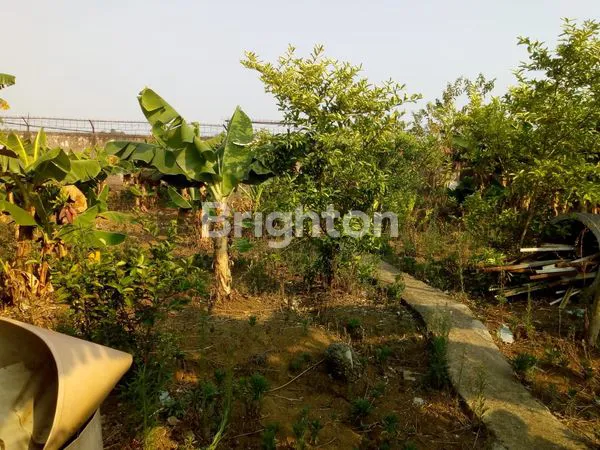 TANAH KEBON&BANGUNAN