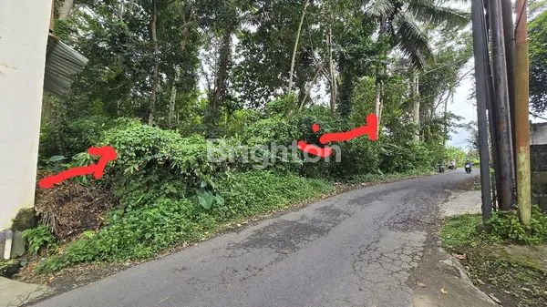 TANAH STRATEGIS PINGGIR JALAN DI UBUD BALI