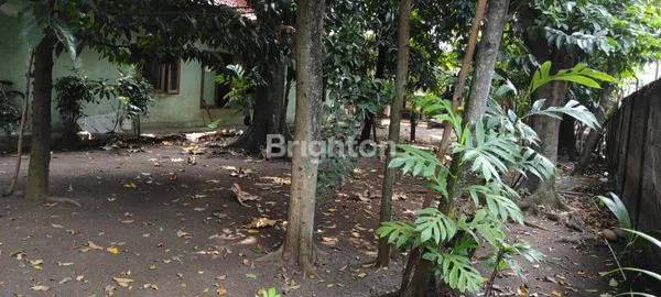 image KAVLING SIAP BANGUN BONUS RUMAH SIAP HUNI PASTI UNTUNG BISA MASUK MOBIL DI LENTENG AGUNG JAKARTA SELATAN (2)