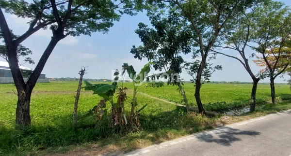 TANAH DI BAKALAN BOJONEGORO JAWA TIMUR