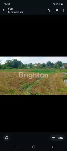 image TANAH DAN KOLAM PRODUKTIF DEKAT DRAMAGA BOGOR (1)