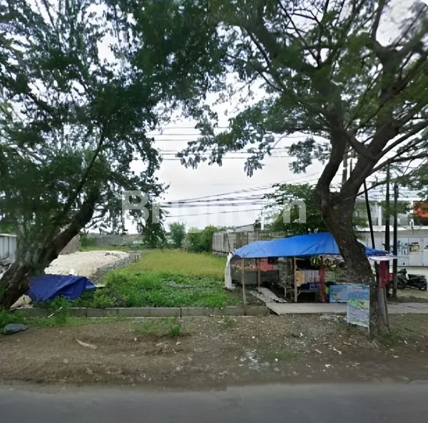 image LAHAN RAYA BANGKINGAN  (1)