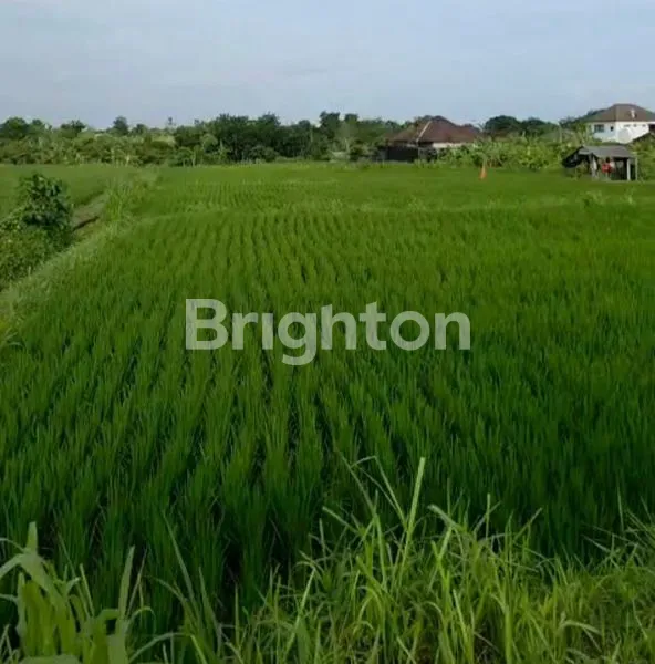 image TANAH VIEW GUNUNG, SAWAH DAN LAUT DEKAT JALAN UTAMA IDA BAGUS MANTRA SEDAYU TAKMUNG KLUNGKUNG (5)