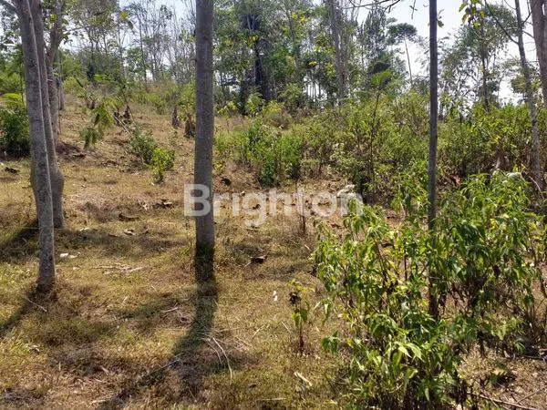 image TANAH SUBUR SIAP BANGUN LOKASI BLOK CINGABEUI KABUPATEN BANDUNG BARAT (6)