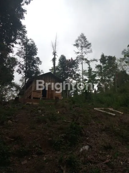 image TANAH SUBUR SIAP BANGUN LOKASI BLOK CINGABEUI KABUPATEN BANDUNG BARAT (1)