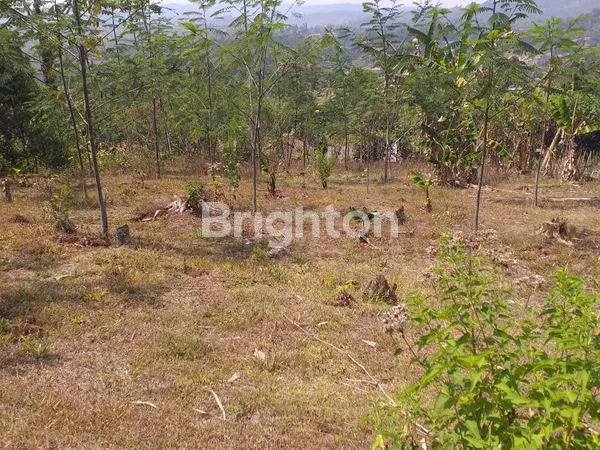 image TANAH SUBUR SIAP BANGUN LOKASI BLOK CINGABEUI KABUPATEN BANDUNG BARAT (7)