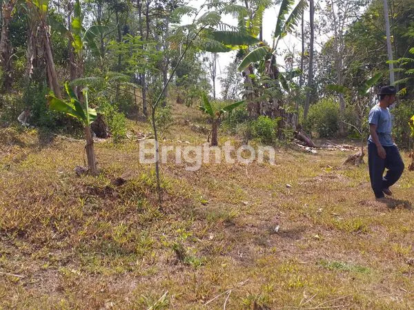 image TANAH SUBUR SIAP BANGUN LOKASI BLOK CINGABEUI KABUPATEN BANDUNG BARAT (4)