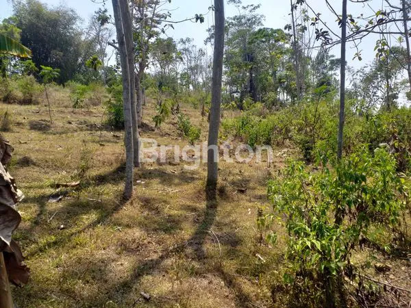 image TANAH SUBUR SIAP BANGUN LOKASI BLOK CINGABEUI KABUPATEN BANDUNG BARAT (3)