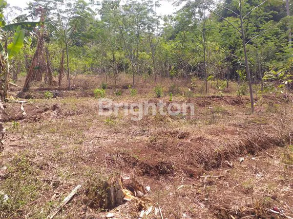 image TANAH SUBUR SIAP BANGUN LOKASI BLOK CINGABEUI KABUPATEN BANDUNG BARAT (2)