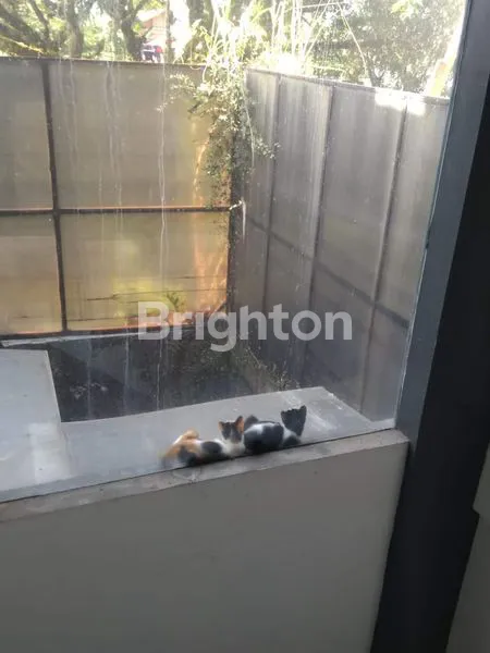 image RUMAH 2 LANTAI BAGUS DAN RAPI DI PINUS REGENCY DI BABAKAN CINAMBO BANDUNG  (5)