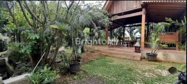 image RUMAH INDAH BERGAYA KOLONIAL TROPIS DI BARANANGSIANG INDAH KOTA BOGOR (7)