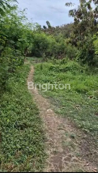 image TANAH LUAS 260 ARE – JALAN IDA BAGUS MANTRA, KLUNGKUNG  LOKASI STRATEGIS  SEBERANG RS GRAHA MEDIKA KLUNGKUNG BALI COCOK UNTUK RESORT /PERUMAHAN (3)