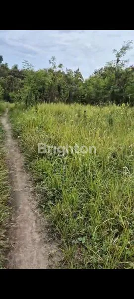 image TANAH LUAS 260 ARE – JALAN IDA BAGUS MANTRA, KLUNGKUNG  LOKASI STRATEGIS  SEBERANG RS GRAHA MEDIKA KLUNGKUNG BALI COCOK UNTUK RESORT /PERUMAHAN (7)