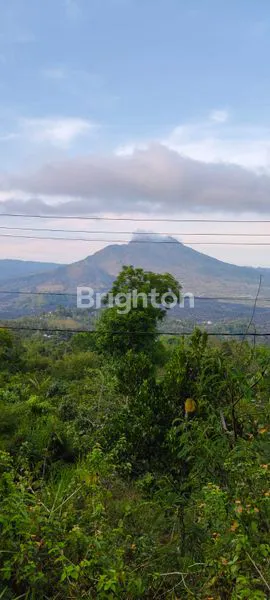 image JUAL TANAH PERTANIAN (1)