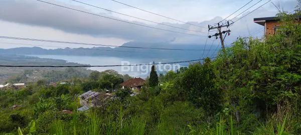 image JUAL TANAH PERTANIAN (2)