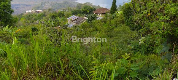 image JUAL TANAH PERTANIAN (4)