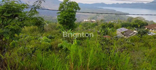 image JUAL TANAH PERTANIAN (5)