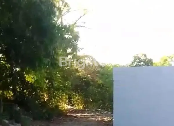 image TANAH PREMIUM LINGKUNGAN VILLA DI JIMBARAN (2)