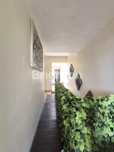 image RUMAH 5KAMAR DENPASAR SELATAN (8)