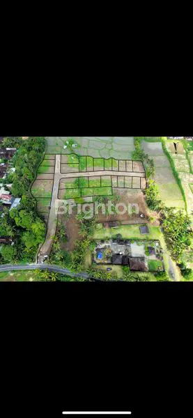 KAPLING AREA VILLA SEMBUUK UBUD