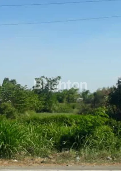 image KAVLING COCOK BUAT VILLA (1)