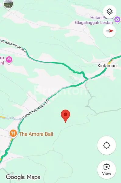 image TANAH DAERAH BUKIT PAYANG KINTAMANI BALI (5)