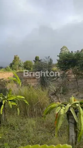 image TANAH DAERAH BUKIT PAYANG KINTAMANI BALI (2)