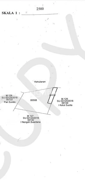 image TANAH DAERAH BUKIT PAYANG KINTAMANI BALI (7)