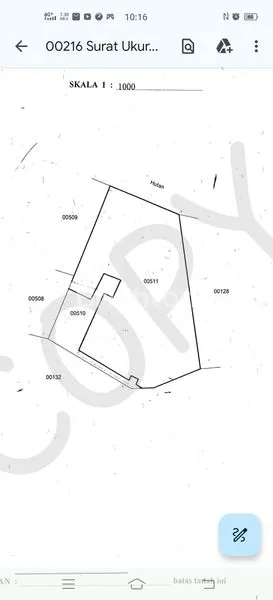 image TANAH DAERAH BUKIT PAYANG KINTAMANI BALI (8)