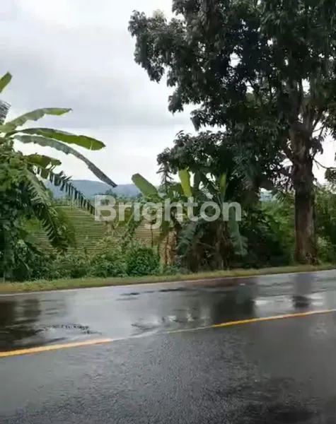 TANAH SHM VIEW SPEKTAKULER DI TABANAN BALI