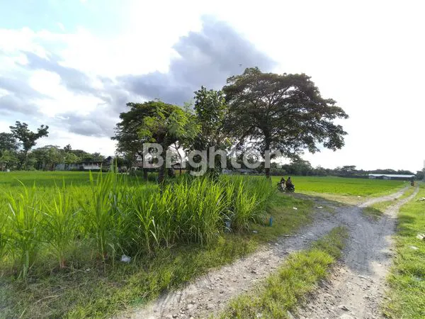 image TANAH ZONA MERAH DEKAT TOL SOLO TIMUR (5)