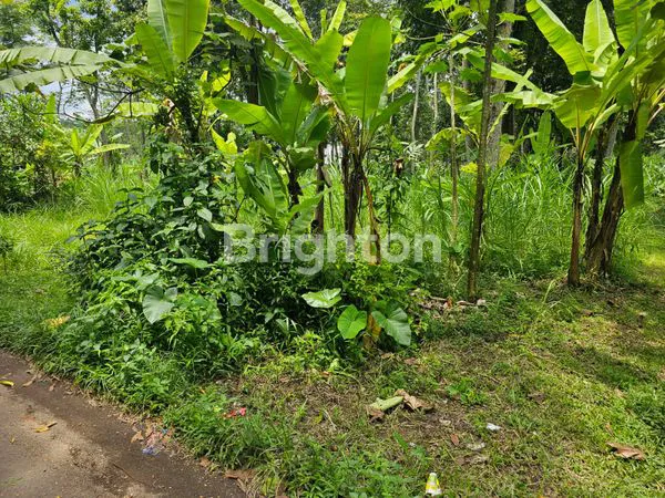 TANAH DATAR SIAP BANGUN NOBOREJO SALATIGA SEMARANG