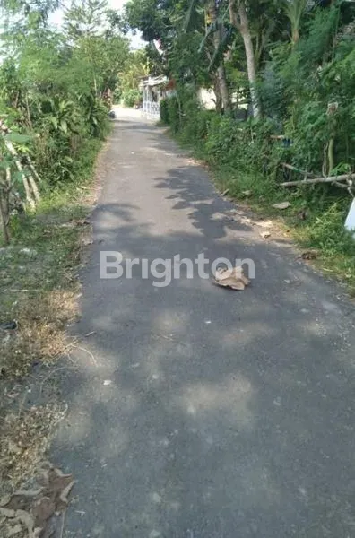 image TANAH PEKARANGAN PROSPEKTIF (2)