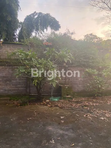 image TANAH PLUS BANGUNAN COCOK UNTUK GUDANG DIPINGGIR JALAN RAYA DIAREA DENPASAR BARAT (6)