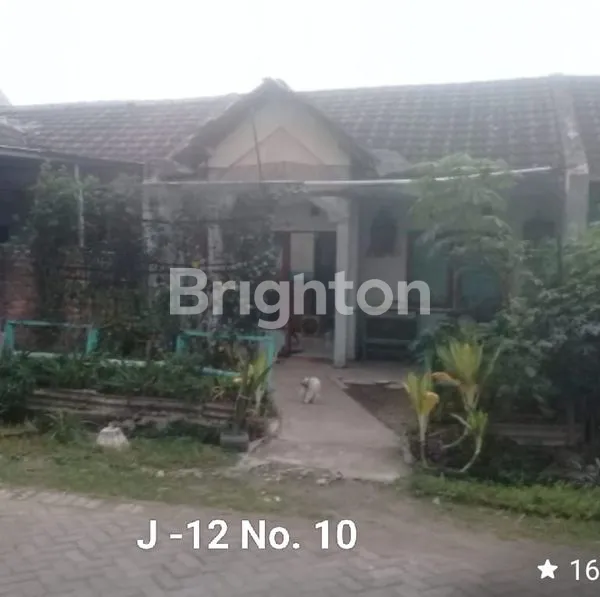 image RUMAH SIAP HUNI DAN MURAH (1)
